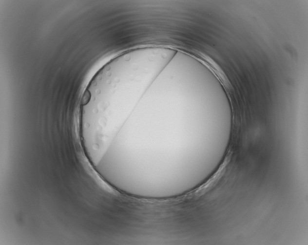 X0000114430812200911131330