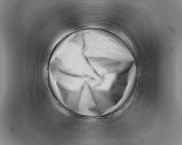 X0000114430814200911131330