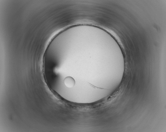 X0000114430815200911131330