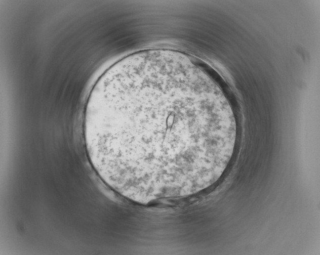 X0000114430816200911131330