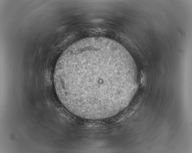 X0000114430819200911131329