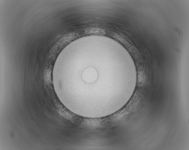 X0000114430820200911131329