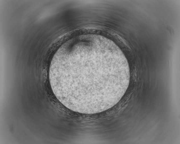 X0000114430821200911131329