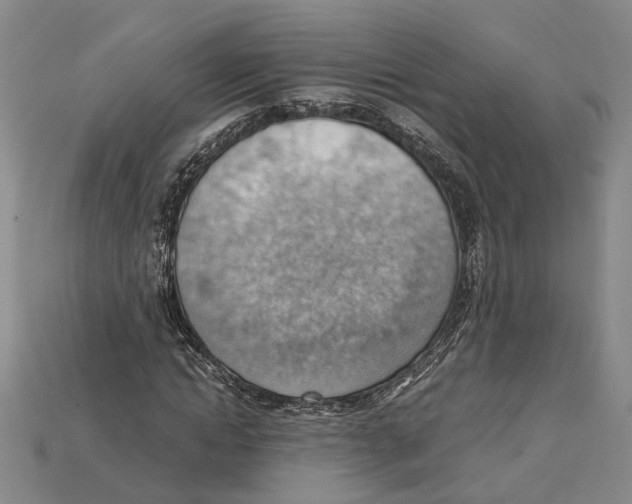 X0000114430822200911131329