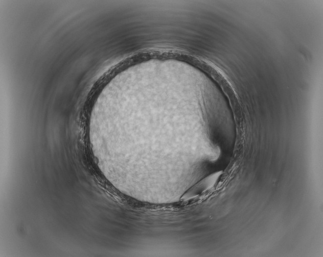 X0000114430823200911131329