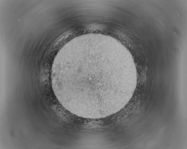 X0000114430824200911131329