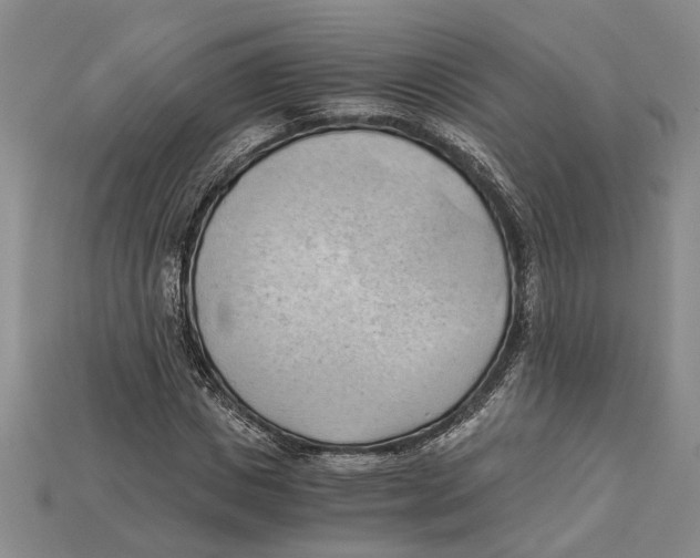 X0000114430825200911131329