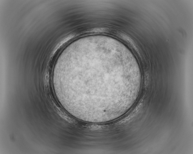 X0000114430827200911131329