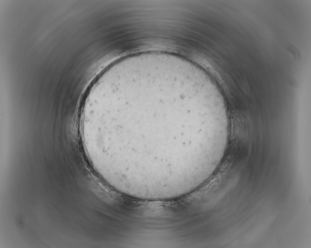 X0000114430828200911131329