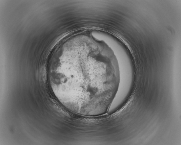 X0000114430829200911131330