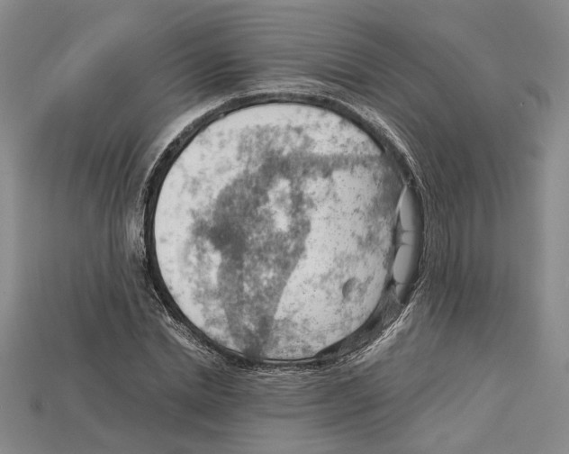 X0000114430830200911131330