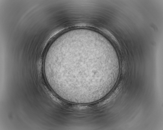 X0000114430831200911131330