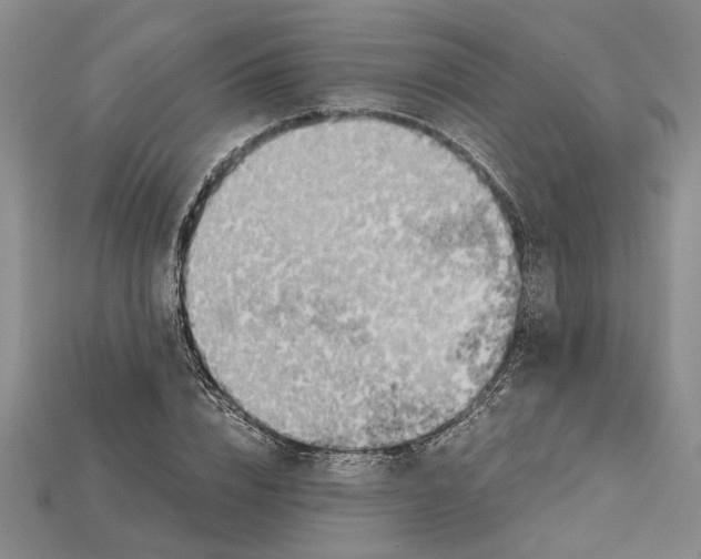 X0000114430832200911131330