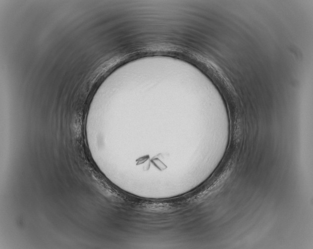 X0000114430833200911131330