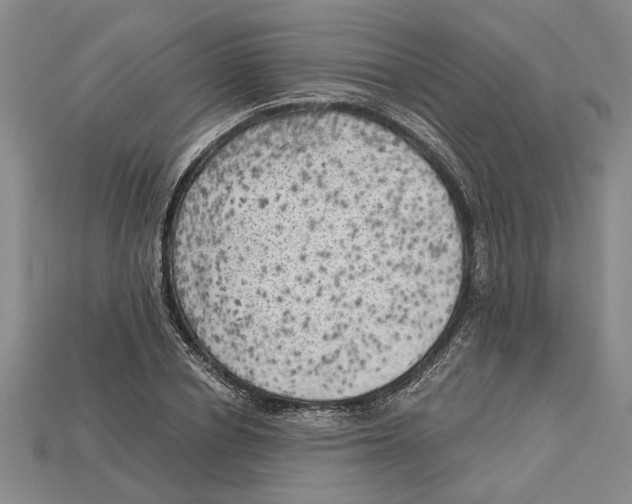 X0000114430834200911131330