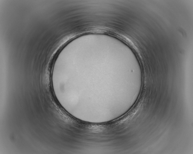 X0000114430835200911131330