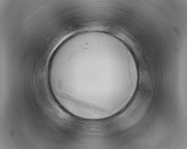 X0000114430836200911131330