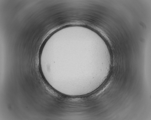 X0000114430837200911131330