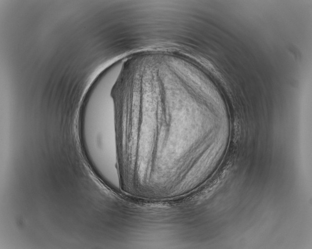 X0000114430838200911131330