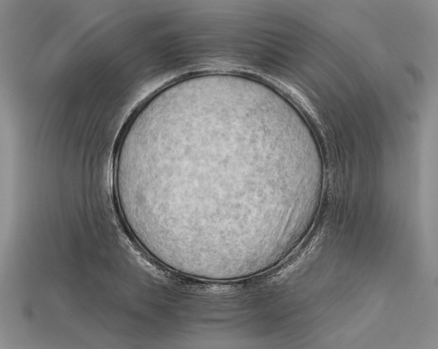 X0000114430839200911131330