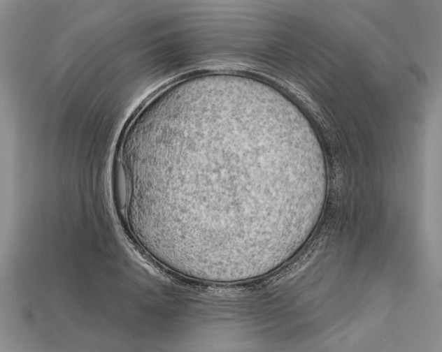 X0000114430840200911131330