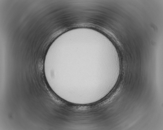 X0000114430841200911131330