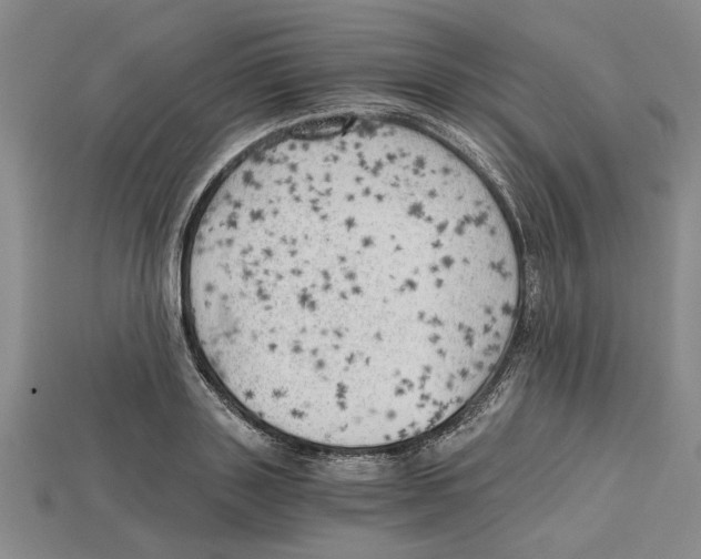 X0000114430843200911131330