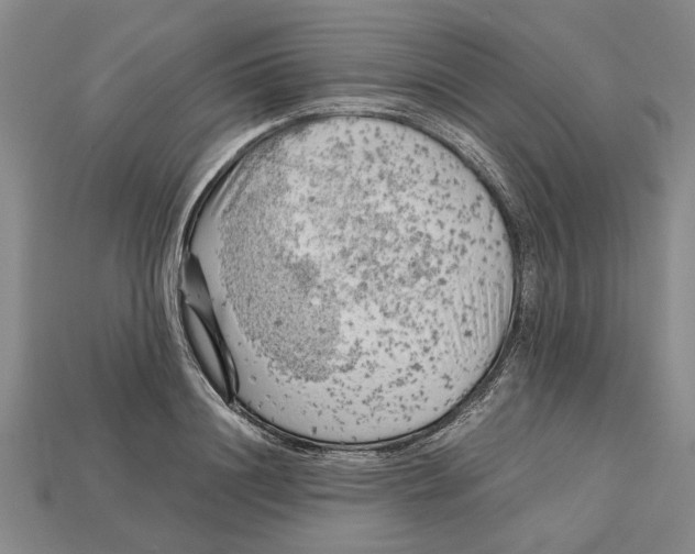 X0000114430844200911131330