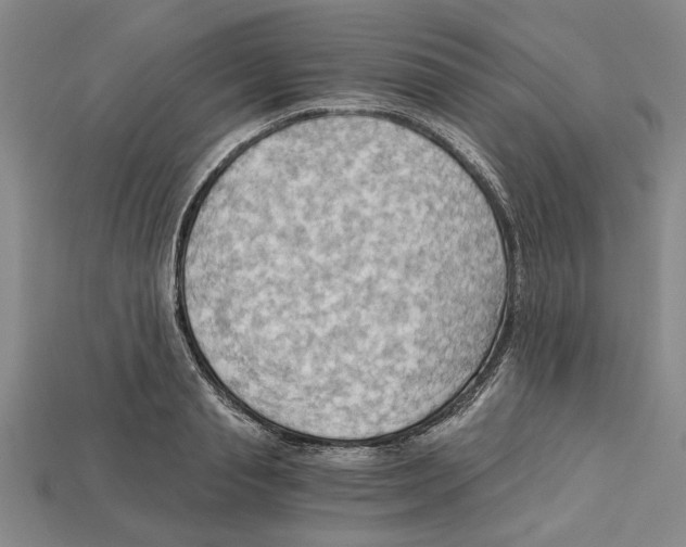 X0000114430845200911131330