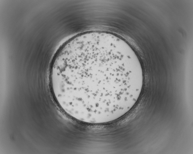 X0000114430846200911131330