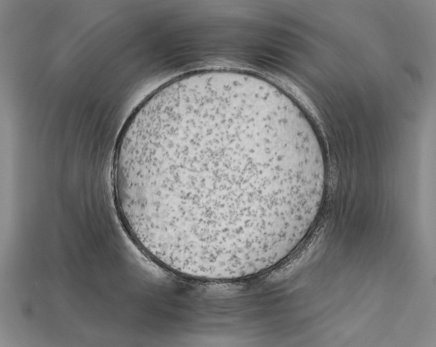 X0000114430847200911131330