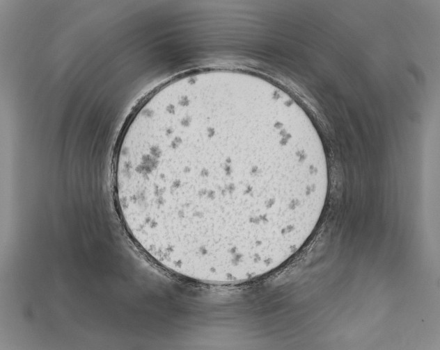 X0000114430848200911131330