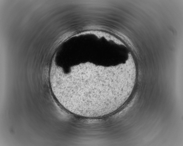 X0000114430849200911131330