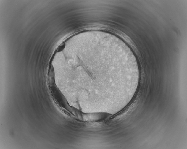 X0000114430850200911131330