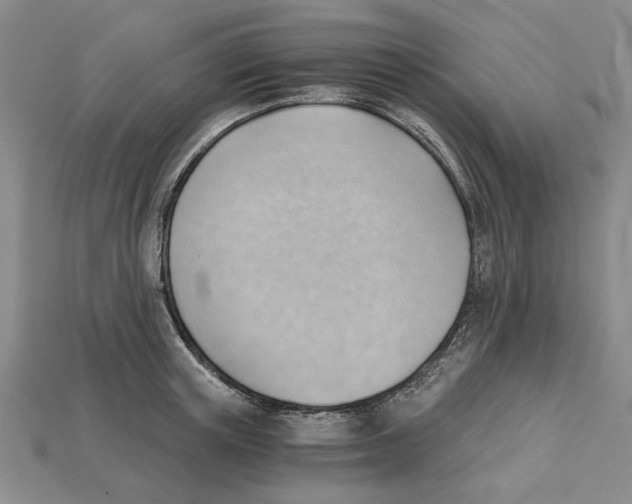 X0000114430851200911131330