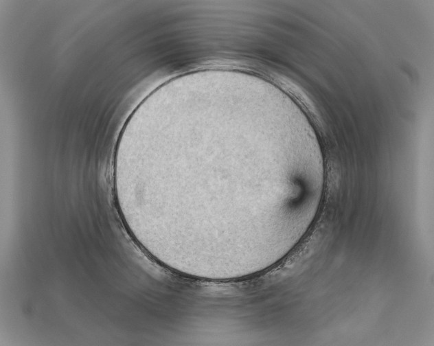 X0000114430852200911131330