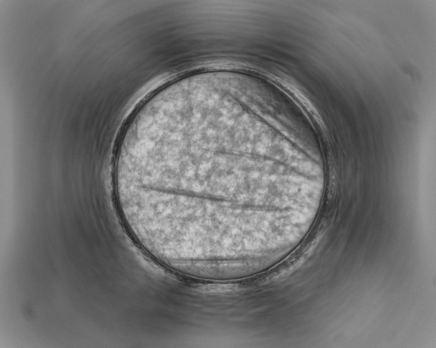 X0000114430853200911131330