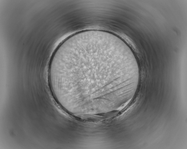 X0000114430854200911131330