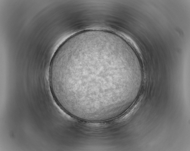 X0000114430855200911131330