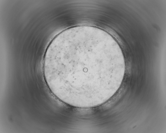 X0000114430856200911131330