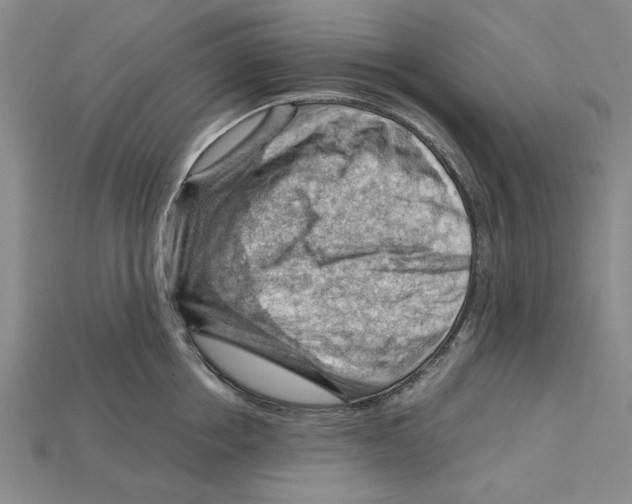 X0000114430858200911131330