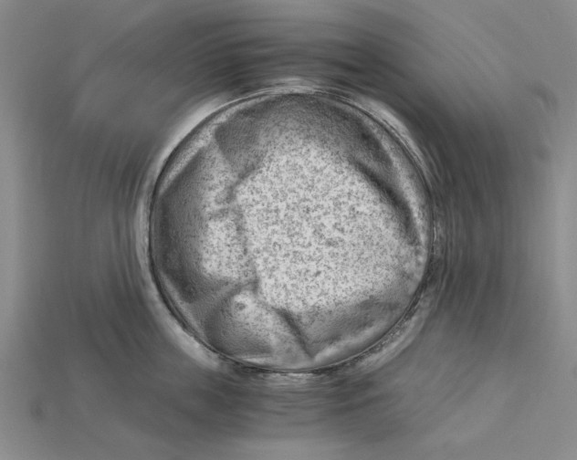 X0000114430859200911131330