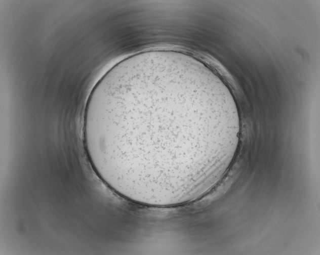 X0000114430860200911131330