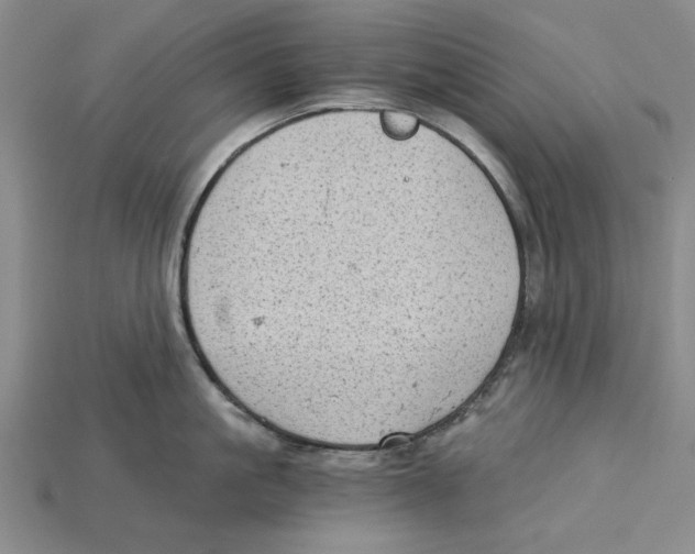 X0000114430861200911131330