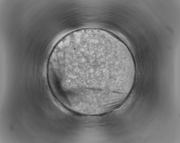 X0000114430862200911131330