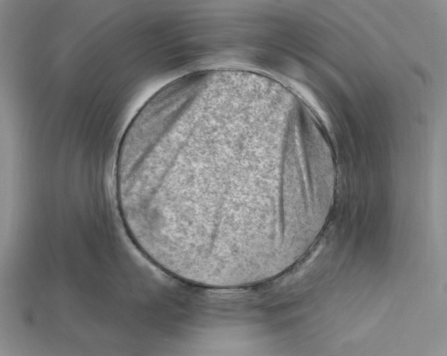 X0000114430863200911131330