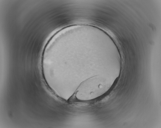 X0000114430864200911131330