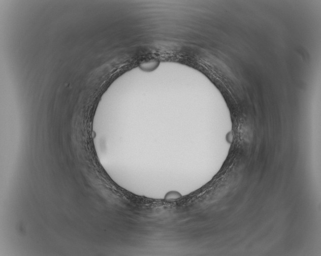 X0000114430865200911131329