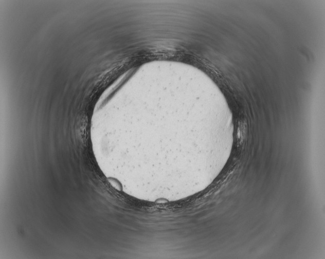 X0000114430867200911131329