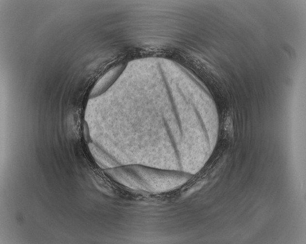 X0000114430868200911131329